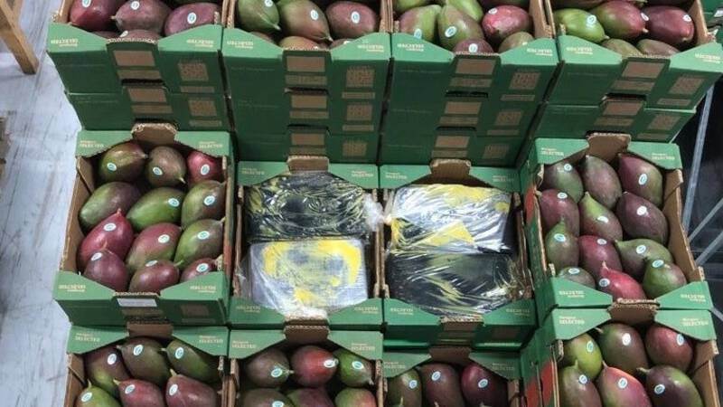Cocaïne verstopt in lading mango's
